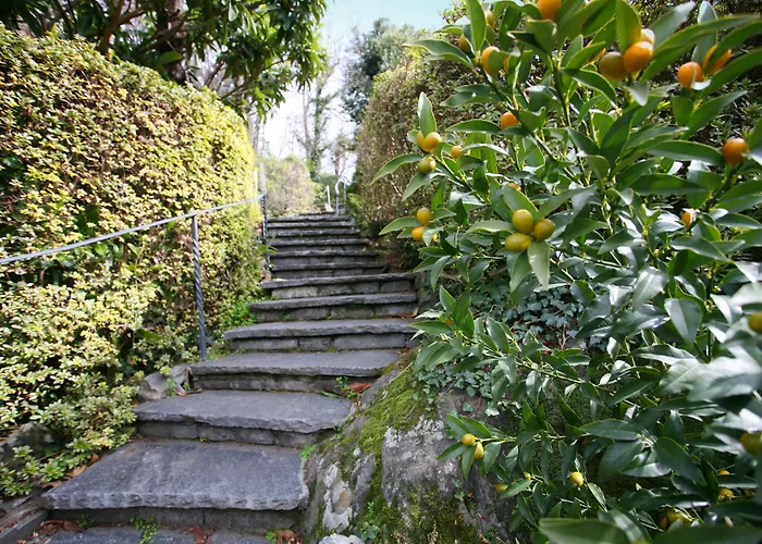Hotel Collinetta
